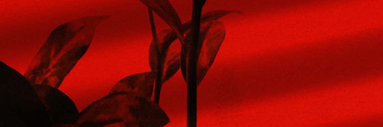andreamichelea's profile banner image