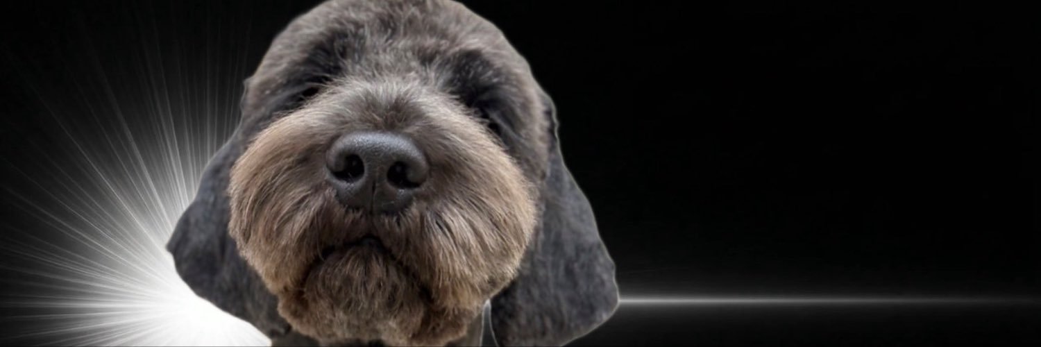 ru_____1981's profile banner image