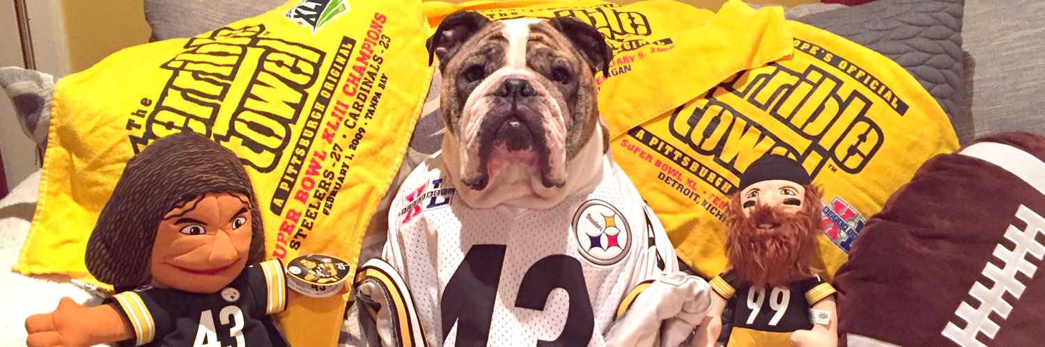 Steelbooth's profile banner image