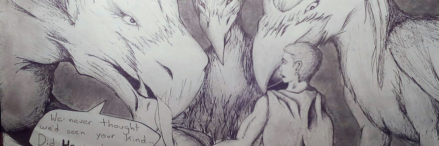 PencilFlash's profile banner image