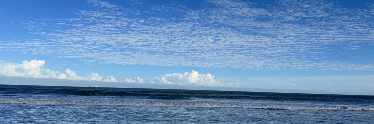 Carlos Feliciano banner