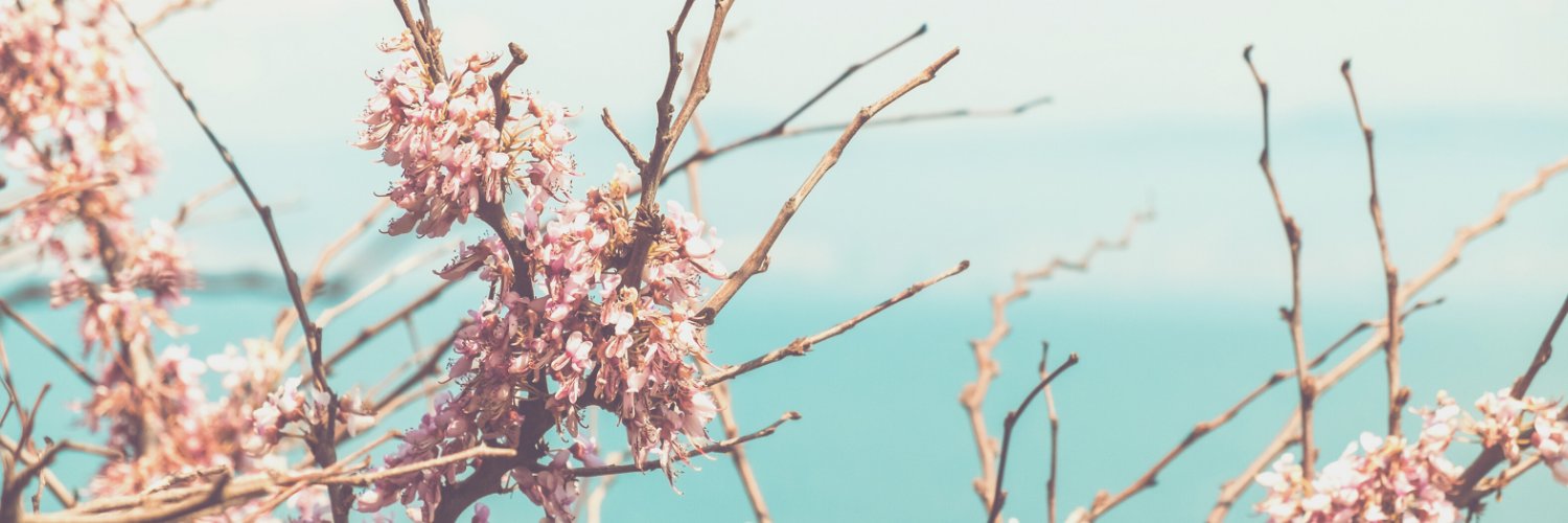 mar_chap's profile banner image