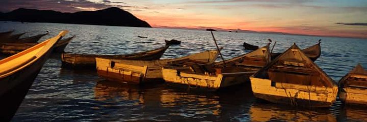 amarojul's profile banner image