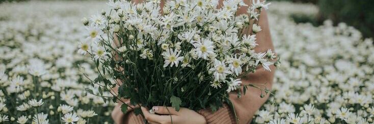 anisimvka's profile banner image