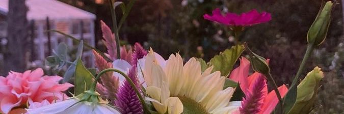 StephanyPach's profile banner image
