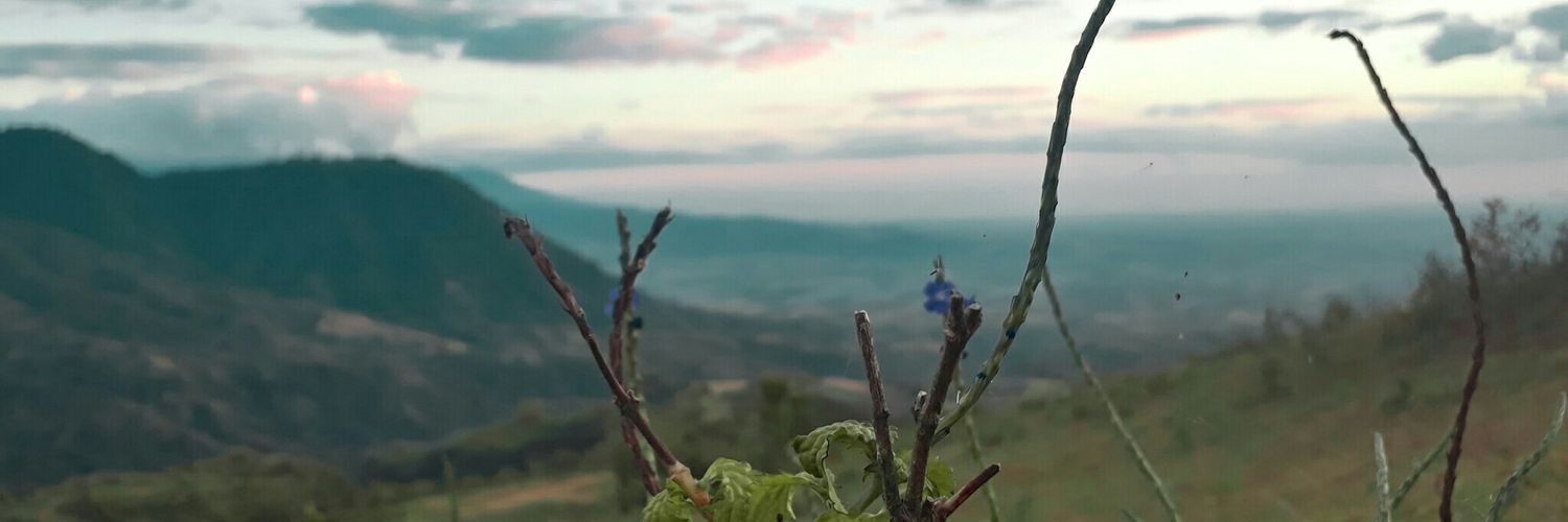 dairinjan's profile banner image