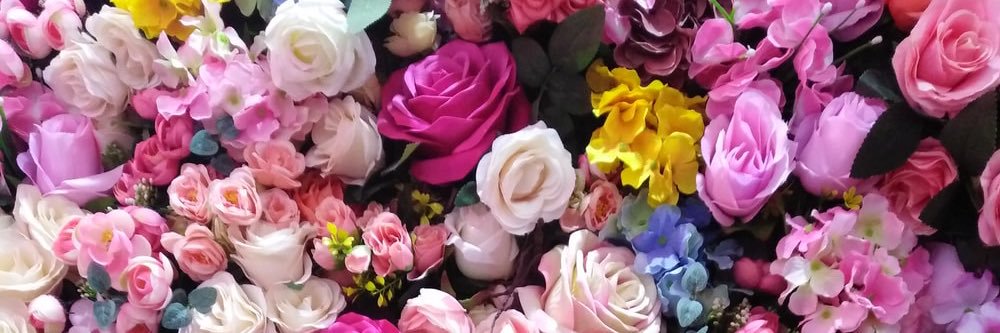 rooneydaisy's profile banner image