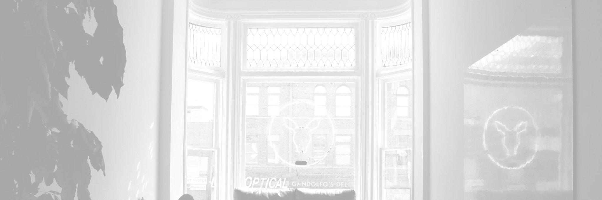 Wallaroo Media banner