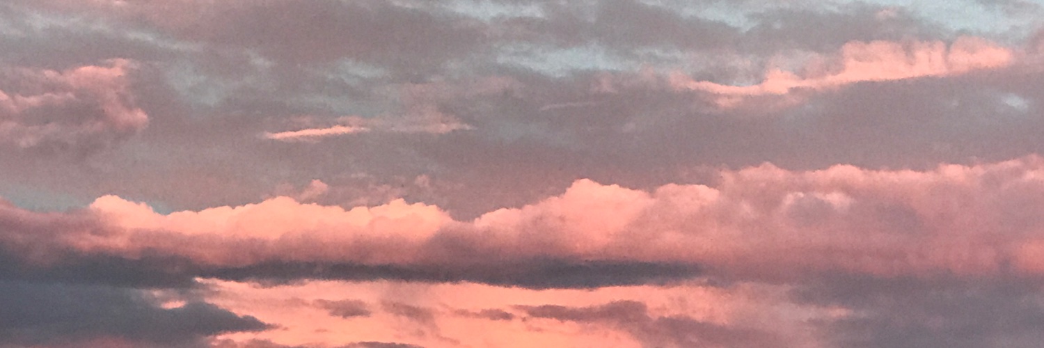 Steph Morrison banner
