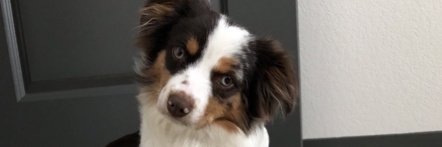 CPANNN's profile banner image