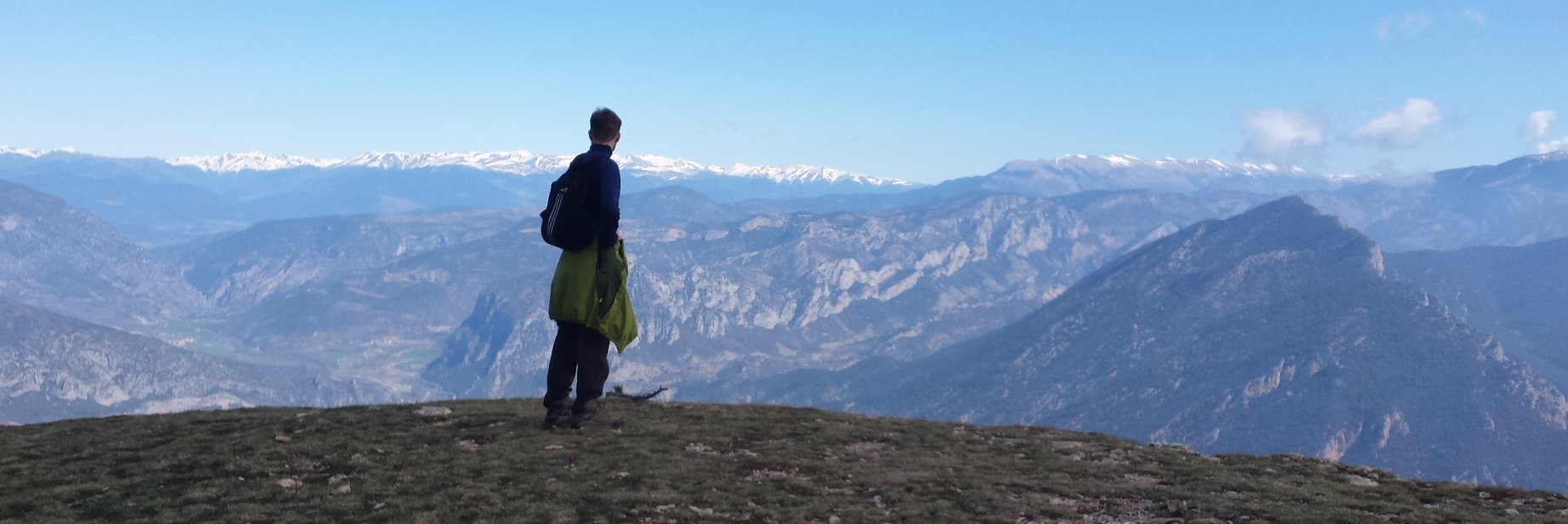 Maciej Szlinder banner