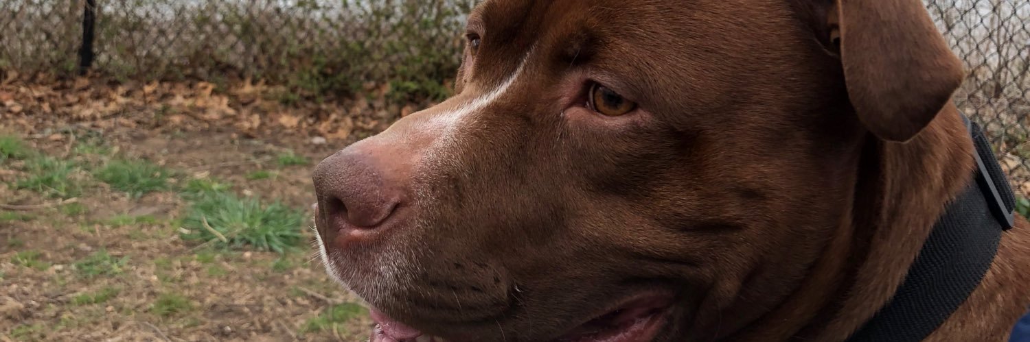 GLyVe's profile banner image