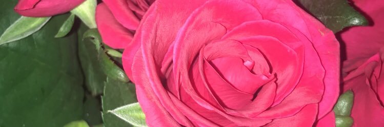 ambers98_'s profile banner image