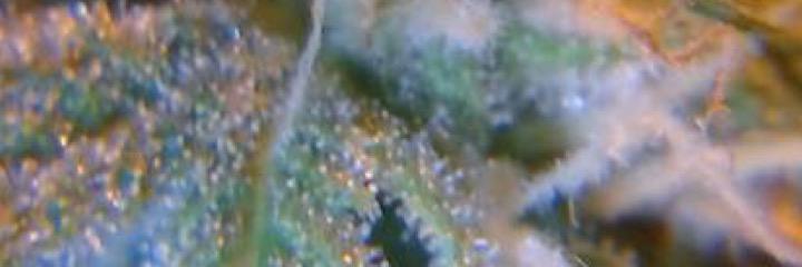 James419James's profile banner image
