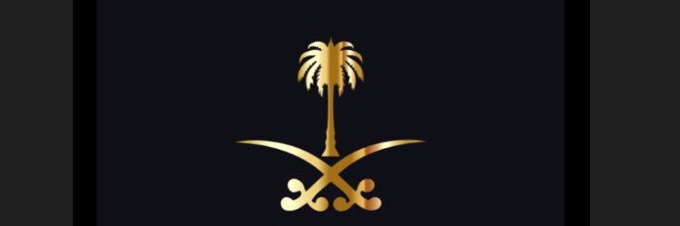 __m_511_'s profile banner image