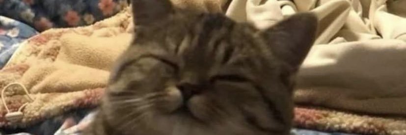 meetmoreretard's profile banner image