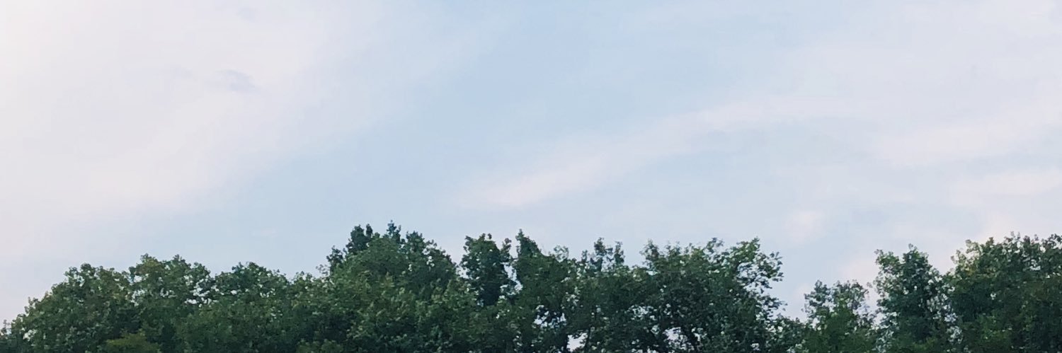 Ty banner