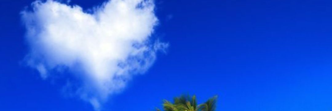 aysglzrl's profile banner image