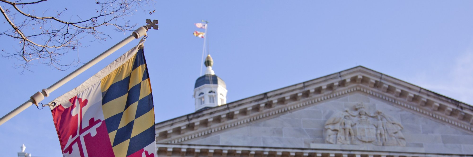 UMBCpolisci's profile banner image