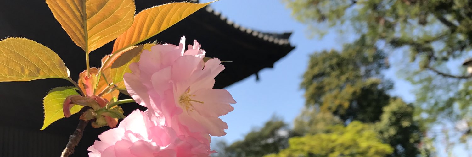nikamochi's profile banner image