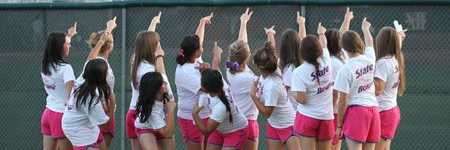 Lady Buck Softball banner