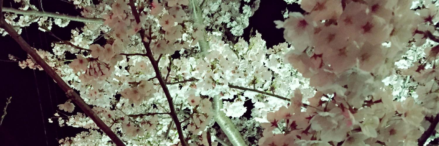 _HI_VQ's profile banner image