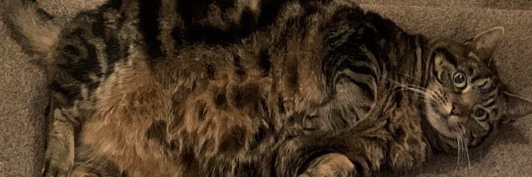 benmorrxs's profile banner image