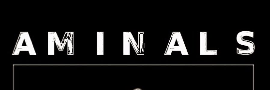 AMINALSBAND's profile banner image