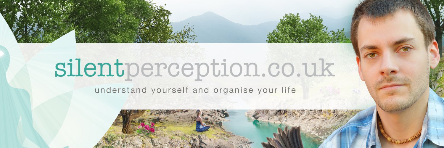 silentperceptio's profile banner image