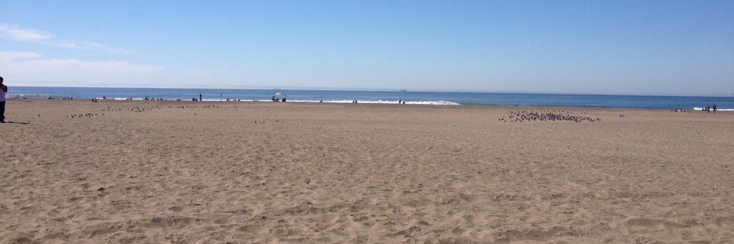 Catherine Castillo banner