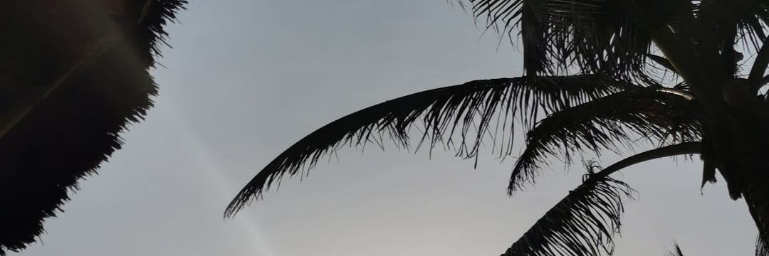 CC_bachatera's profile banner image