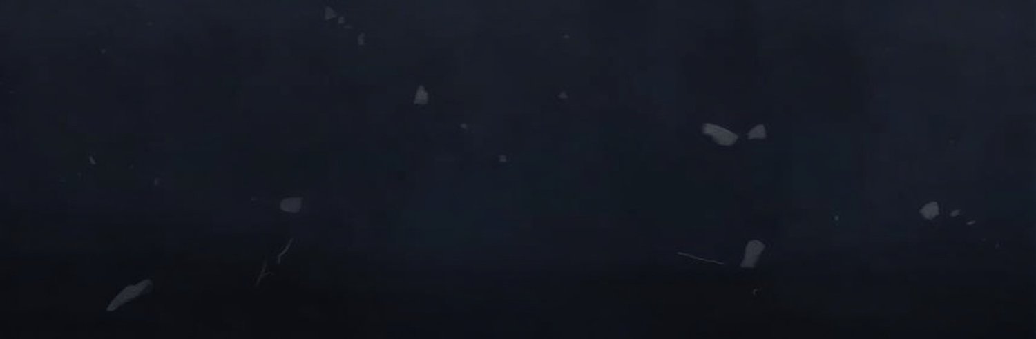 Zachary Chester banner