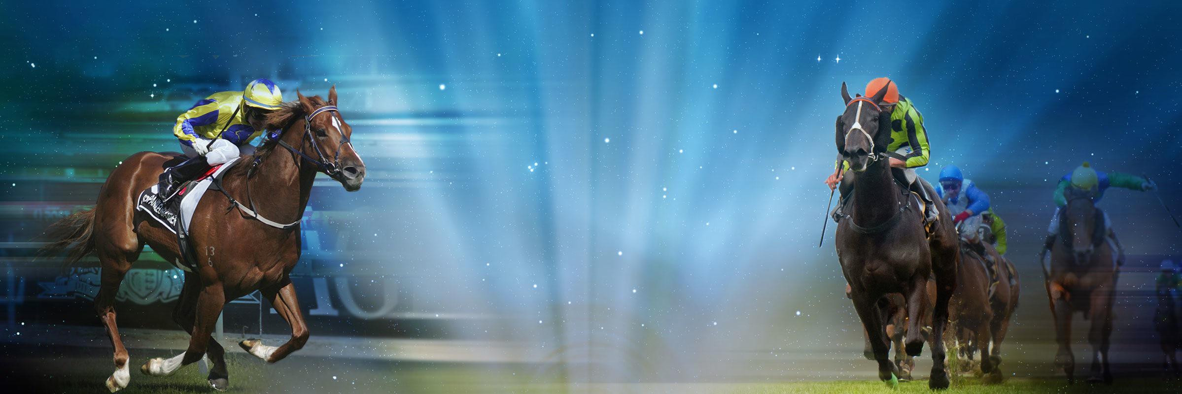 SpicerTbreds's profile banner image