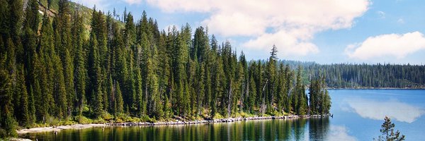 SpiritofPines Profile Banner