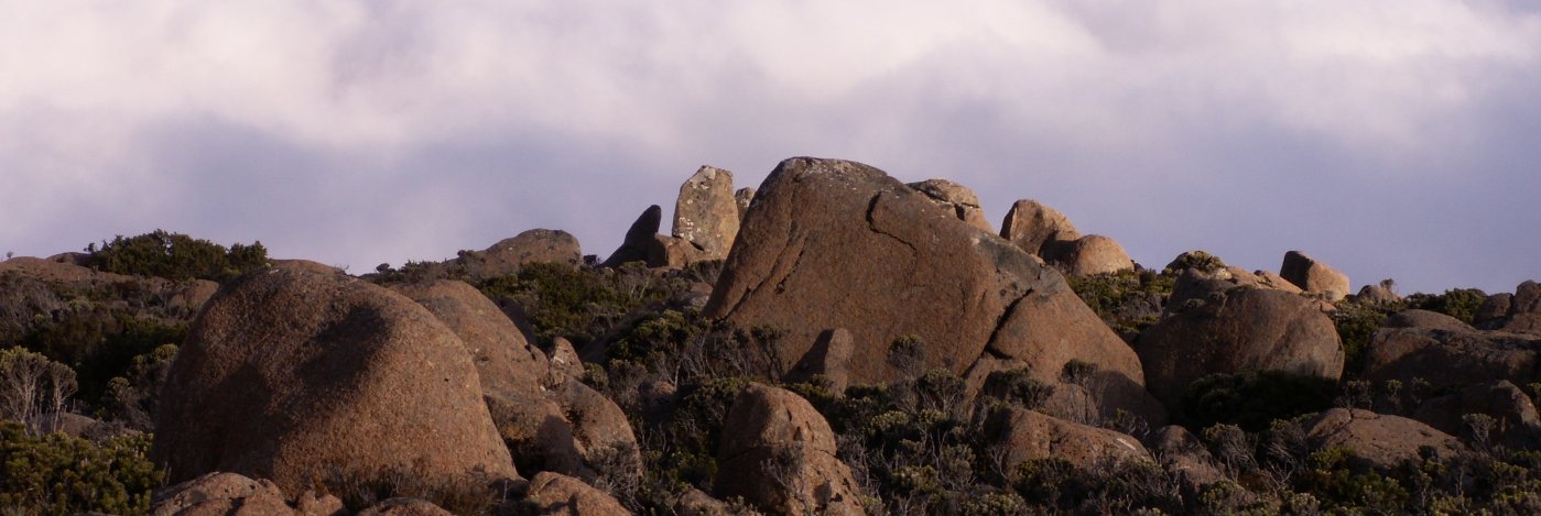 Brain_Doctor's profile banner image
