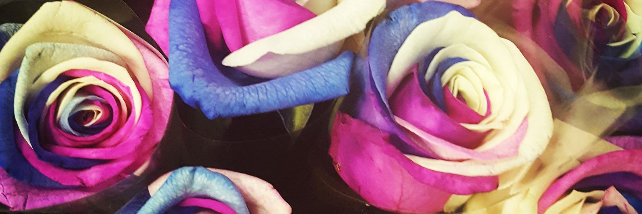 FlutterbyFUNdraisers banner