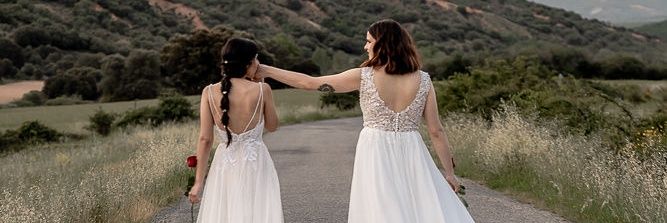 swallow_q's profile banner image