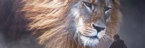 NathanFelipee01's profile banner image