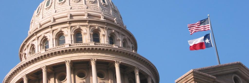 TXChildrens Advocacy banner