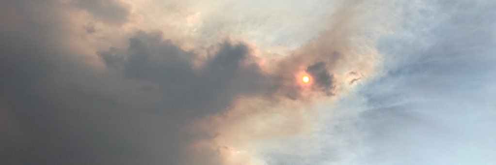 herearesomepictures banner