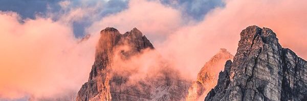 lexiagazzi's profile banner image