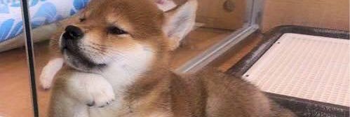 hoelysam's profile banner image