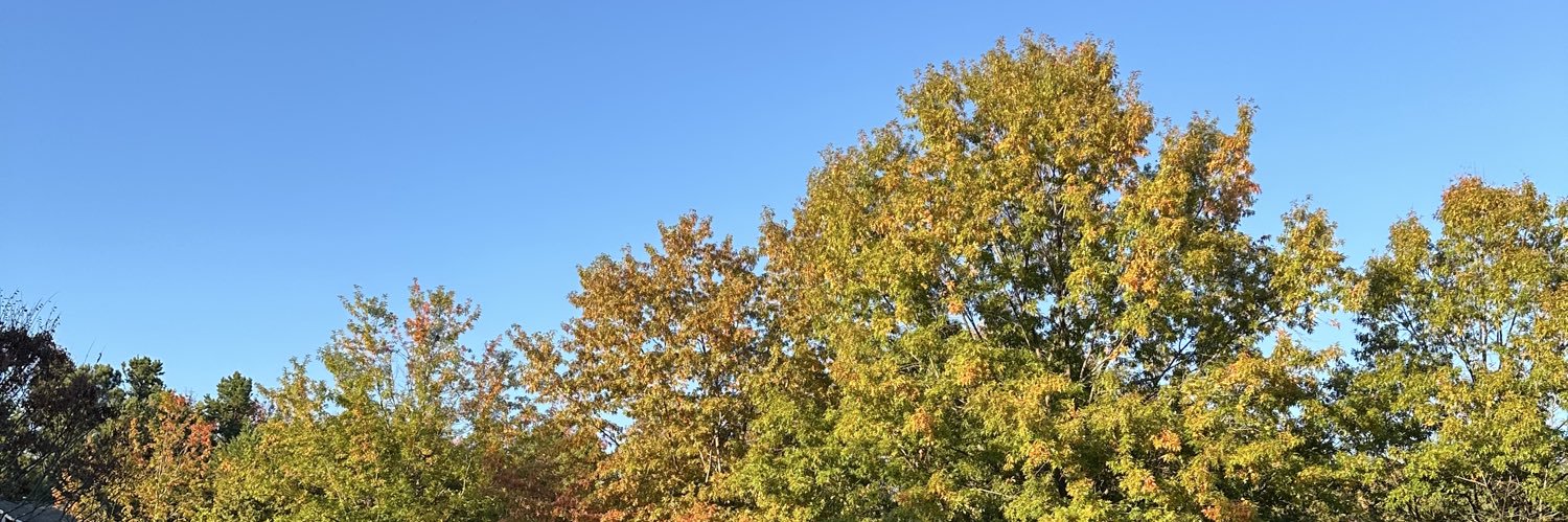 txylormarshall's profile banner image