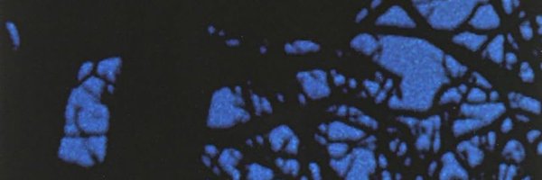 spideytcrch Profile Banner