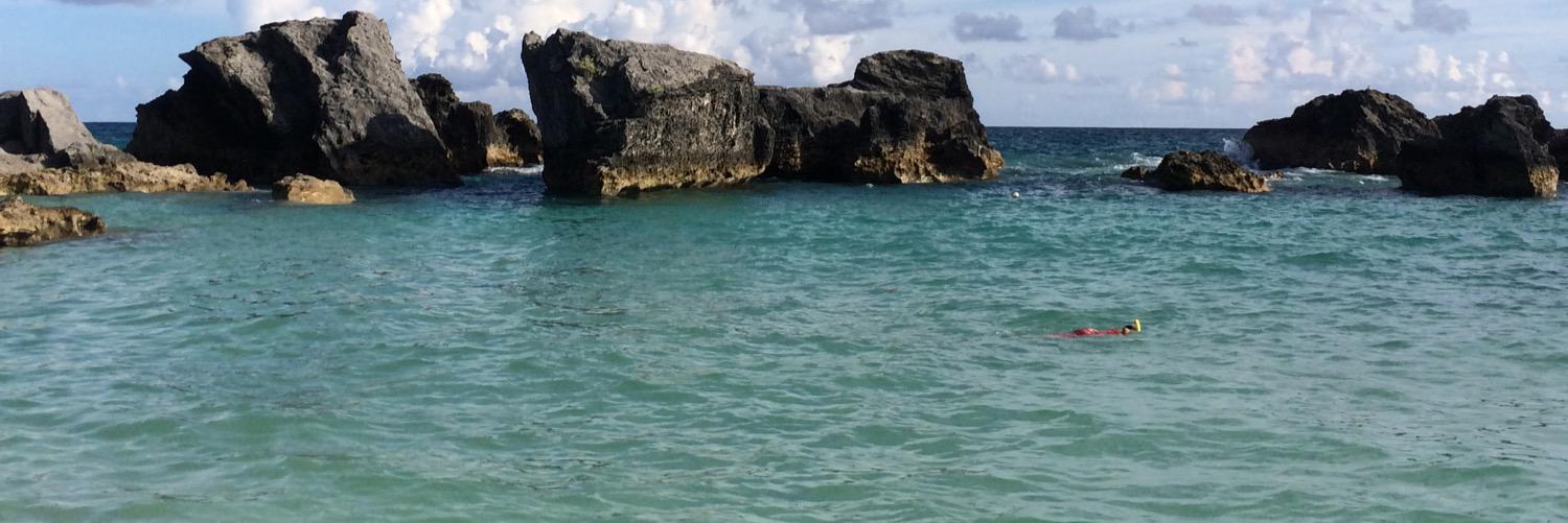 Debbie Donnelly banner