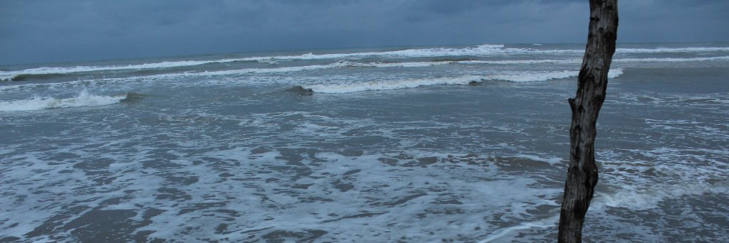 AxlMor's profile banner image