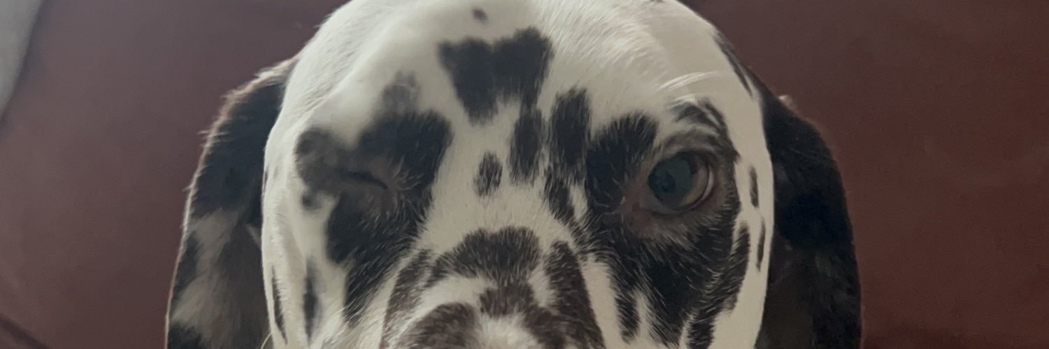 ShearJoel's profile banner image