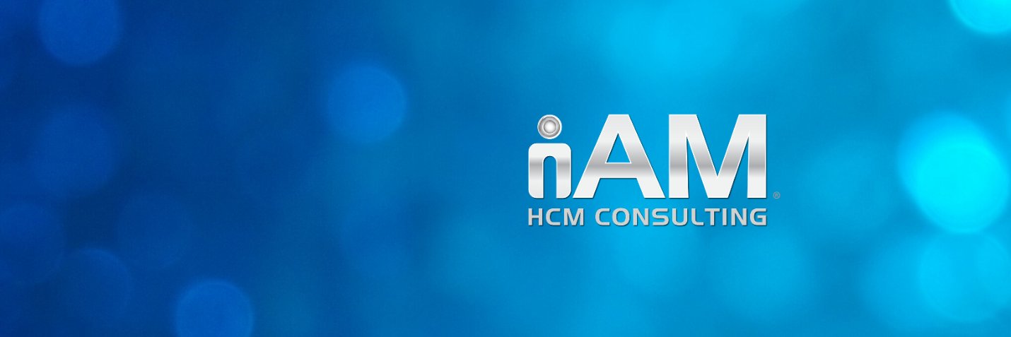 iAM HCM Consulting banner