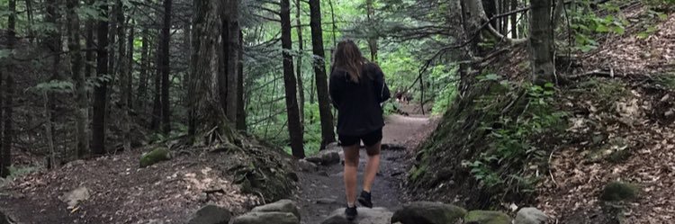 sofie9798's profile banner image