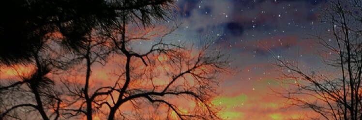 Krisconsonant's profile banner image